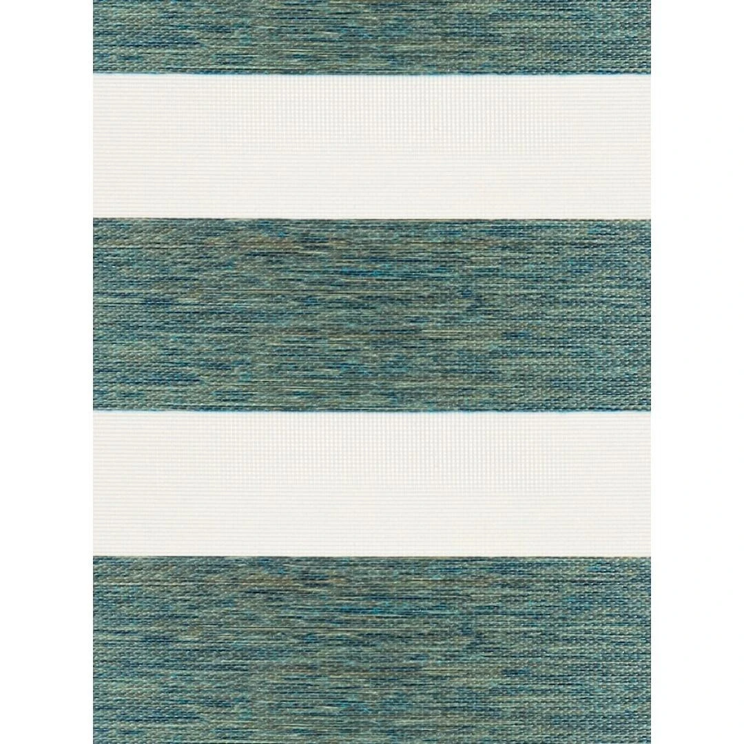 Zebra collection 62 1